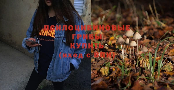прущая мука Армянск